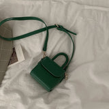 Women's Portable Small Square Bag